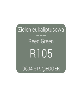 Wieszak WS52, zieleń eukaliptusowa